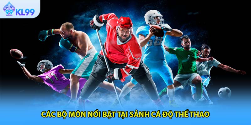 Các bộ môn nổi bật tại sảnh cá độ thể thao